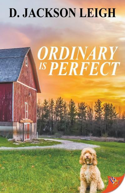 Ordinary Is Perfect
