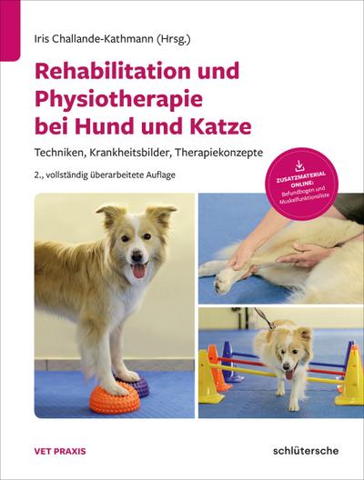 Rehabilitation und Physiotherapie bei Hund und Katze