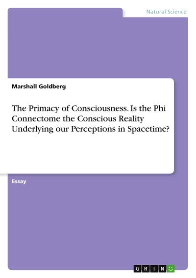 The Primacy of Consciousness. Is the Phi Connectome the Conscious Reality Underlying our Perceptions in Spacetime?