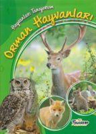 Hayvanlari Taniyorum Orman Hayvanlari