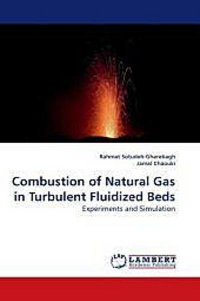 Combustion of Natural Gas in Turbulent Fluidized Beds