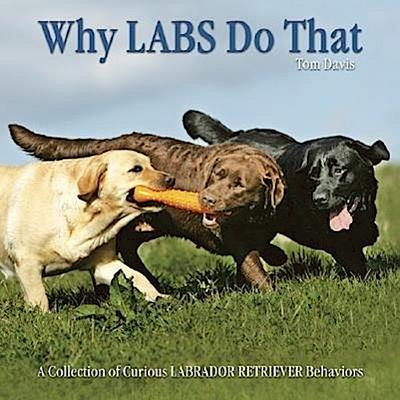 Why Labs Do That: A Collection of Curious Labrador Retriever Behaviors