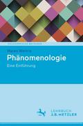 Phänomenologie