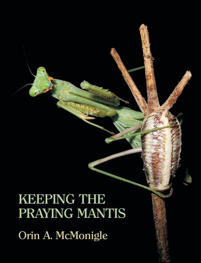 Keeping the Praying Mantis