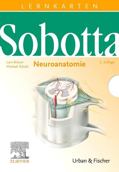 Sobotta Lernkarten Neuroanatomie, Lernkarten