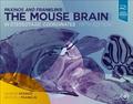 Paxinos and Franklin’s the Mouse Brain in Stereotaxic Coordinates