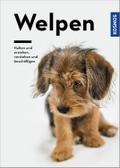 Welpen