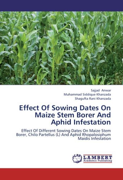 Effect Of Sowing Dates On Maize Stem Borer And Aphid Infestation