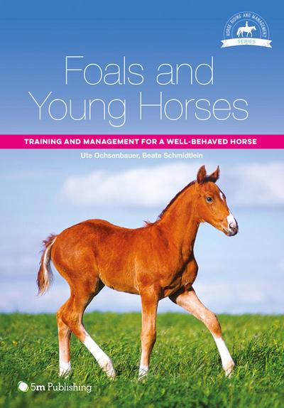 Foals and Young Horses