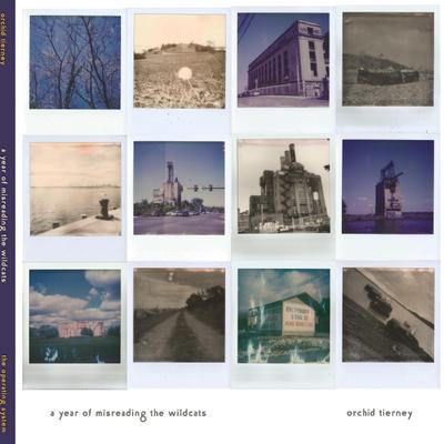 A Year of Misreading the Wildcats