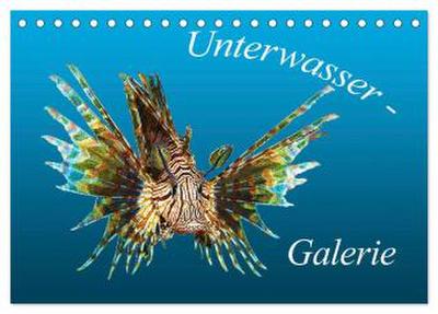 Unterwasser-Galerie (Tischkalender 2026 DIN A5 quer), CALVENDO Monatskalender