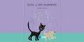 Gato y los números