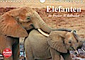 Elefanten in freier Wildbahn (Wandkalender 2016 DIN A4 quer) - Elisabeth Stanzer