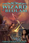 A Wizard in Bedlam (Chronicles of the Rogue Wizard, #2)