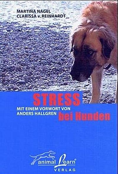 Stress bei Hunden