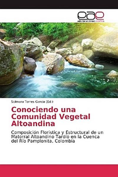Conociendo una Comunidad Vegetal Altoandina
