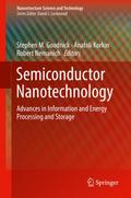 Semiconductor Nanotechnology