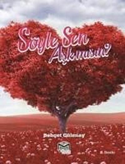 Söyle Sen Ask misin