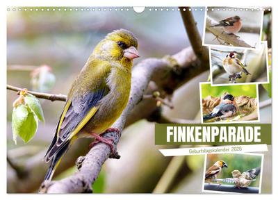 Finkenparade (Wandkalender 2026 DIN A3 quer), CALVENDO Monatskalender