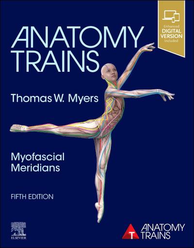 Anatomy Trains