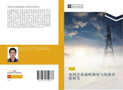 dian wang qi ye zhan lve gui hua yu ji xiao ping jia yan jiu