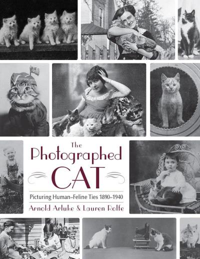 The Photographed Cat