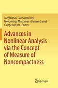 Advances in Nonlinear Analysis via the Concept of 