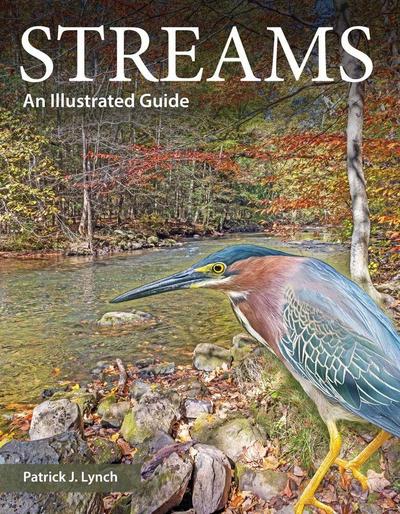 Streams