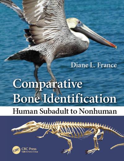 Comparative Bone Identification