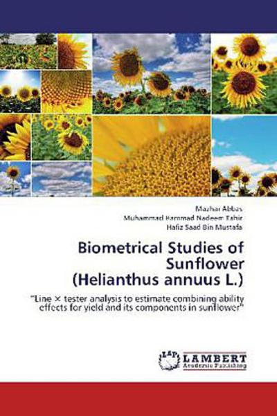 Biometrical Studies of Sunflower (Helianthus annuus L.)