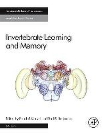 Invertebrate Learning and Memory
