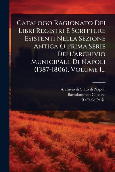 Catalogo Ragionato Dei Libri Registri E Scritture Esistenti Nella Sezione Antica O Prima Serie Dell’archivio Municipale Di Napoli (1387-1806), Volume 1...