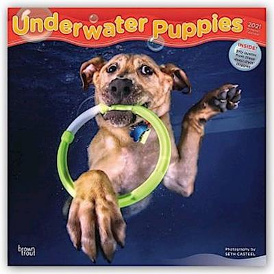 Underwater Puppies 2021