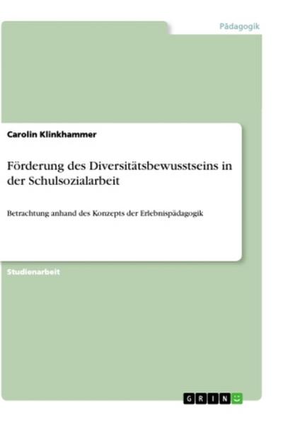 Förderung des Diversitätsbewusstseins in der Schulsozialarbeit - Carolin Klinkhammer