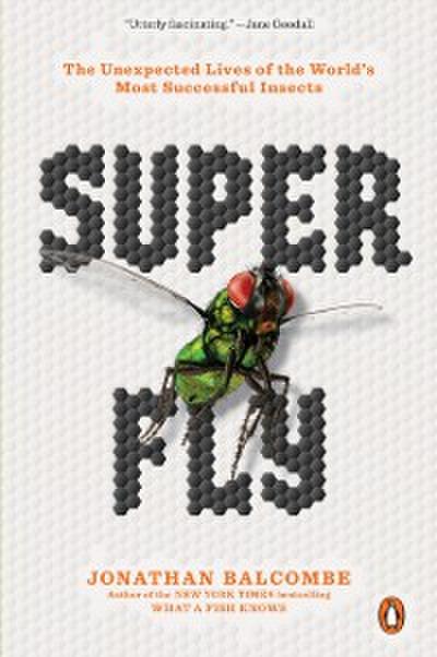 Super Fly