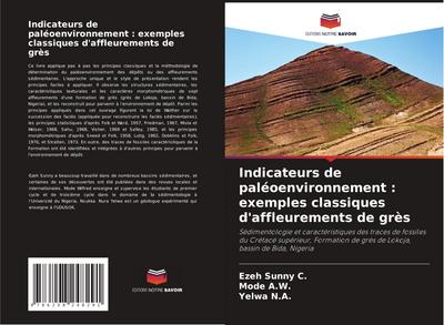 Indicateurs de paléoenvironnement : exemples classiques d’affleurements de grès