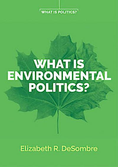 What Is Environmental Politics?