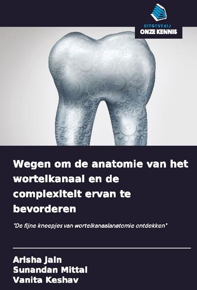 Wegen om de anatomie van het wortelkanaal en de complexiteit ervan te bevorderen