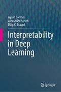 Interpretability in Deep Learning