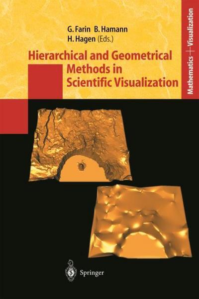 Hierarchical and Geometrical Methods in Scientific Visualization