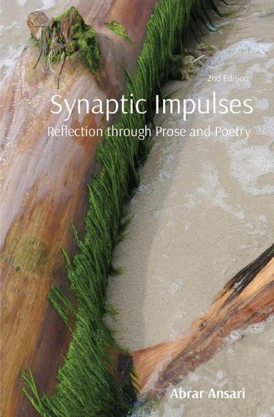 Synaptic Impulses