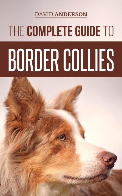 The Complete Guide to Border Collies: Training, Teaching, Feeding, Raising, and Loving Your New Border Collie Puppy