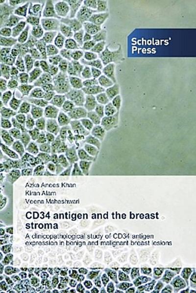 CD34 antigen and the breast stroma