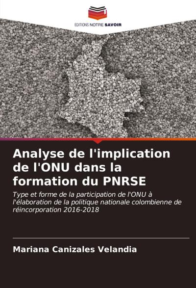 Analyse de l’implication de l’ONU dans la formation du PNRSE