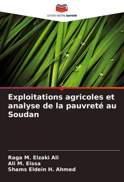 Exploitations agricoles et analyse de la pauvreté au Soudan