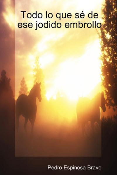 Todo Lo Que S de Ese Jodido Embrollo