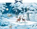 Wintertiere bei Nacht