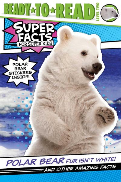 Polar Bear Fur Isn’t White!