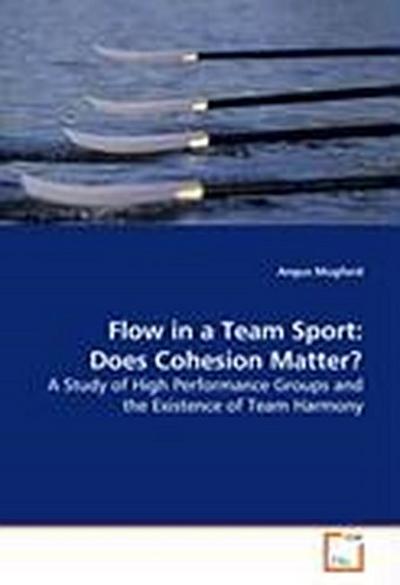 Flow in a Team Sport: Does Cohesion Matter?