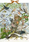 Unsere Vögel im Winter - Sound-Adventskalender